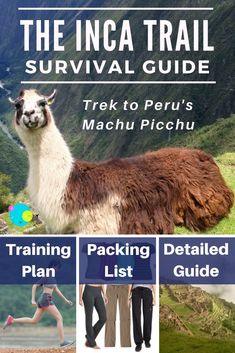 the inca trail survival guide includes trek to peru's machu picchu and detailed plan