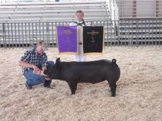 a man kneeling down next to a small black pig in an arena with other people around it