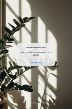 a potted plant sitting next to a window with the words reminder from god nobody will ever love you as much as i do