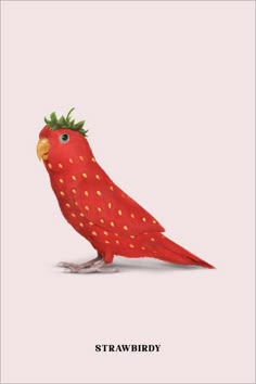 a red bird with a strawberry on it's head sitting in front of a white background