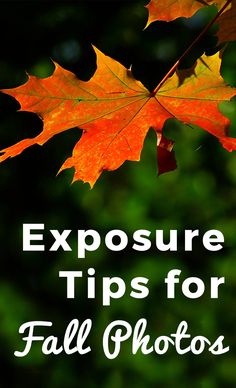 an orange and yellow leaf with the words exposure tips for fall photos on it's side