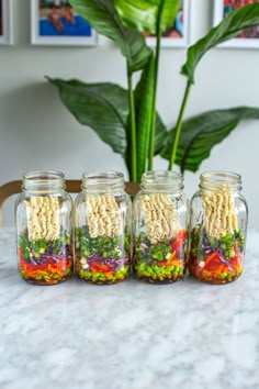 four mason jars filled with food sitting on top of a table next to a potted plant