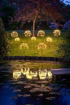 some lights that are on in the grass by water and trees with leaves around them