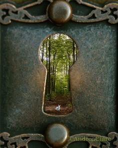 an open keyhole in the middle of a forest with a dog looking at it