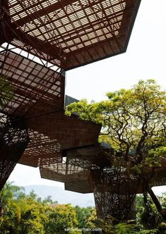 the structure is made out of bamboo and has trees growing on top of it,