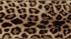 an animal print pattern is shown in brown and black colors on the skin of a cheetah