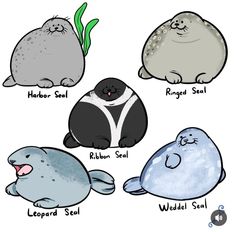 an image of sea animals that are labeled in different colors and sizes with captions