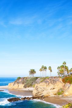 the beach is lined with palm trees and blue water