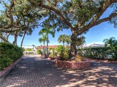 the driveway is lined with palm trees and brick pavers, which are bordered by hedges