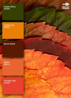 the colors of autumn and fall are shown in shades of red, orange, yellow, green