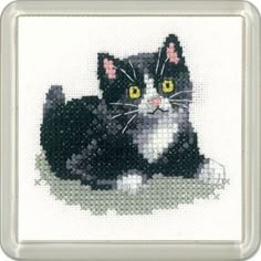 a black and white cat with yellow eyes sitting on the ground in front of a silver frame