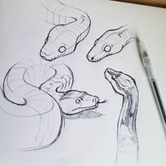 a drawing of three snakes with their heads facing each other and one is looking at the camera