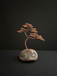 a bonsai tree is growing out of a rock on a black surface with dark background