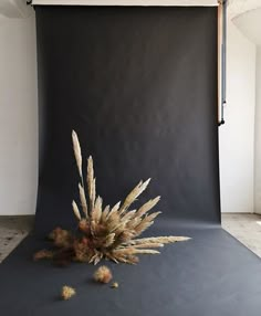 a black backdrop with white flowers on it