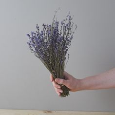 a person is holding some lavender flowers in their left hand, on a wooden table