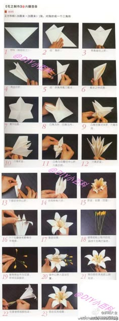 the instructions for how to make origami flowers in different styles and colors, with pictures