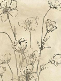 a drawing of some flowers on a piece of paper that is drawn with pencils