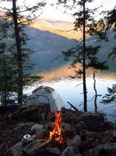 there are many pictures of camping in the woods, including trees and firepits