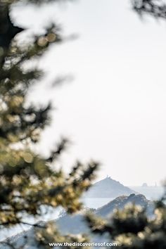 a clock tower is seen through the branches of a tree in front of a mountain