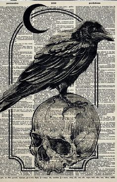 a black bird sitting on top of a skull in front of an old book page