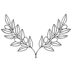 an olive branch with leaves drawn in black ink on a white background, ready to be used as a coloring page