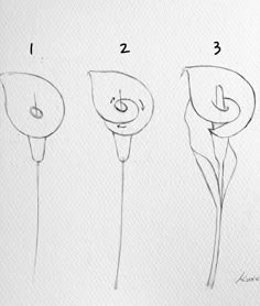 three different types of flowers are shown in the drawing technique, with numbers on each side