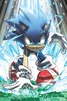 the cover to sonic the hedge