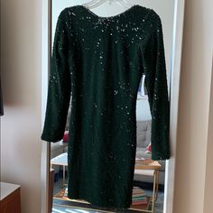 Dress The Population Gorgeous Emerald/Deep Green Velvet Sequin Low Back Bodycon Dress With Back Zipper And Long Sleeves. Never Been Worn. Has Good Stretch In The Fabric. Embellished Green Dresses For Fall, Embellished Green Dress For Fall, Fall Green Embellished Dresses, Fall Embellished Green Dresses, Green Long Sleeve Mini Dress For Dinner, Sweetheart Neck Midi Dress, Mini Sheath Dress, Crochet Lace Dress, Snake Print Dress