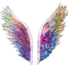 two colorful wings are shown against a white background and one is painted with multicolored paint