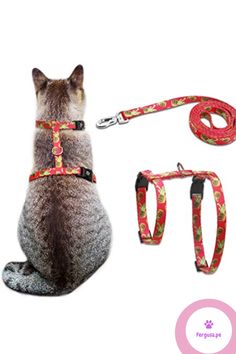 a cat sitting on the ground wearing a leash and harness with its back turned to the camera