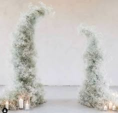 two tall trees with candles in front of them