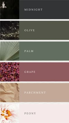 Colour palette with midnight, olive, green, dark pink, natural beige and blush pink. Dark Green Colour Palette Bedrooms, Color Palettes With Dark Green, Business Color Schemes Colour Palettes, Green Swatches Colour Palettes, Dark Green Color Palette Wedding, Safe Green Colour Palette, Spa Color Scheme, Sage Green And Black Color Palette, Black Green Colour Palette