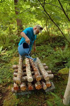 an old man is watering water from a bucket on logs in the woods with trees and ferns