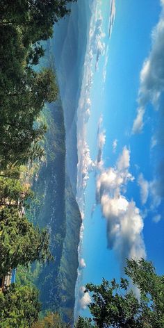 some trees and clouds are in the sky