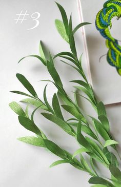 some green plants are on a white surface