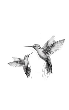 two hummingbirds flying in the air with their beaks touching each other's wings