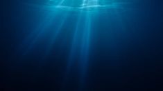 an underwater view of the ocean with sunlight coming through the water's surface and sunbeams