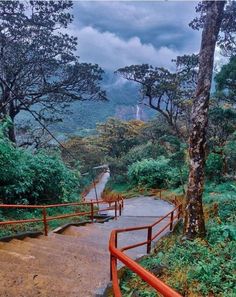 travel photography Adam's Peak Sri Lanka, Adam's Peak, Morning Photography, Sunset Sunrise, Sea Beach, English Garden, Photography Lovers, Pilgrimage