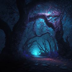 a dark forest filled with lots of trees and glowing light at the end of it