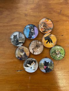 a collection of cat magnets sitting on top of a wooden table