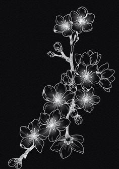 a black and white drawing of flowers on a branch