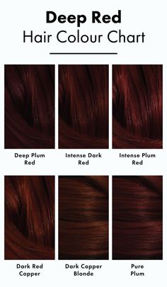 Red Hair Colours | My Hairdresser Permanent Hair Colours Expensive Red Hair Color, Reb Brown Hair, Darkest Red Hair Color, Cool Winter Red Hair, Intense Dark Red Hair, Red Hair For Deep Winter, Natural Red Hair Dark, True Autumn Red Hair, Dark Red Hair Color Aesthetic