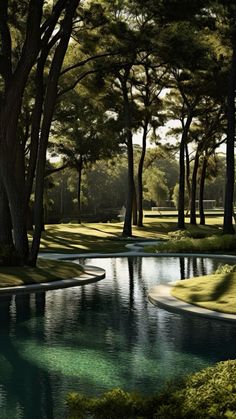 a pond surrounded by trees in the middle of a park