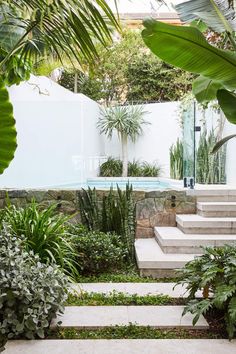 an outdoor garden with steps leading up to the pool