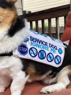 a dog sitting on top of a chair wearing a service dog vest over it's shoulder