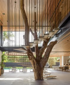 the interior of a modern house with wooden floors and stairs leading up to an indoor tree