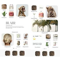 an image of a website page with different pictures and words on the front, including leopard print