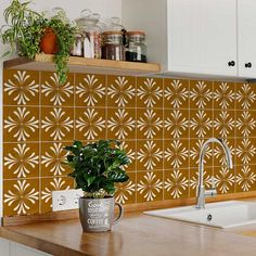 a potted plant sitting on top of a wooden counter next to a kitchen sink