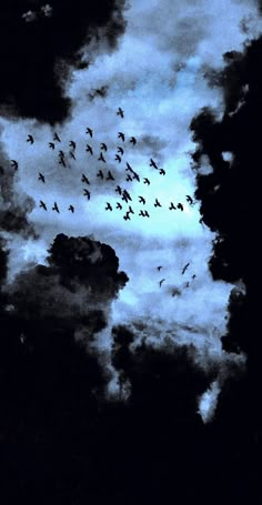 a flock of birds flying in the sky at night with clouds and blue hues