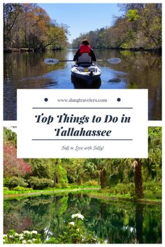 the top things to do in tallahassee